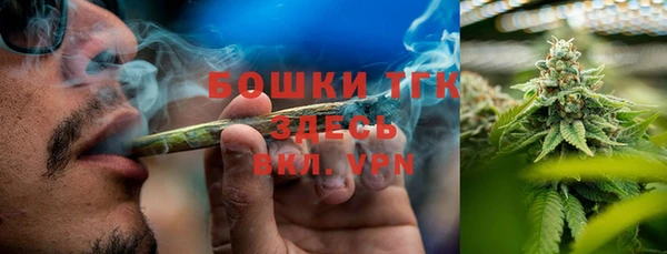 стаф Белоозёрский