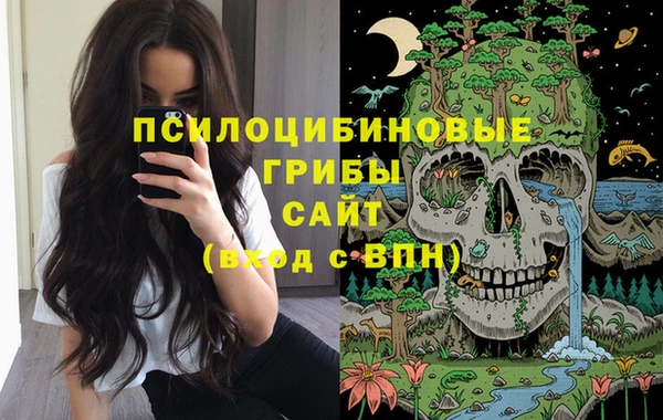 стаф Белоозёрский
