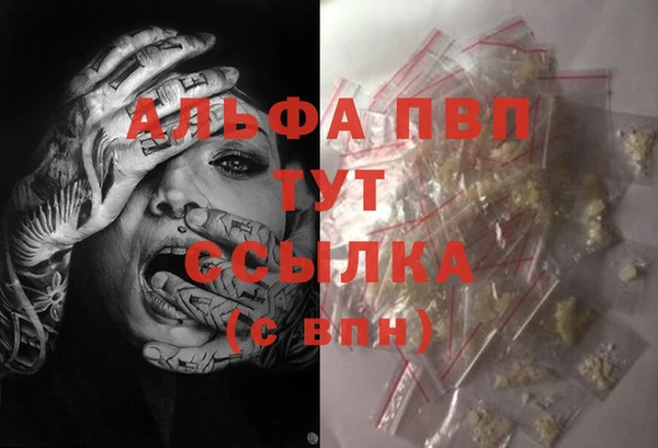 стаф Белоозёрский