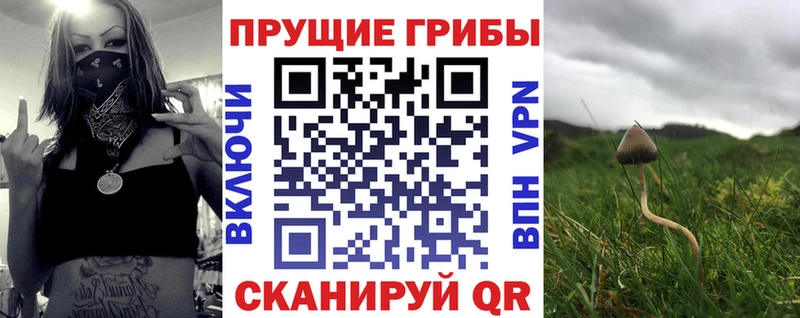 Галлюциногенные грибы Cubensis  Янаул 